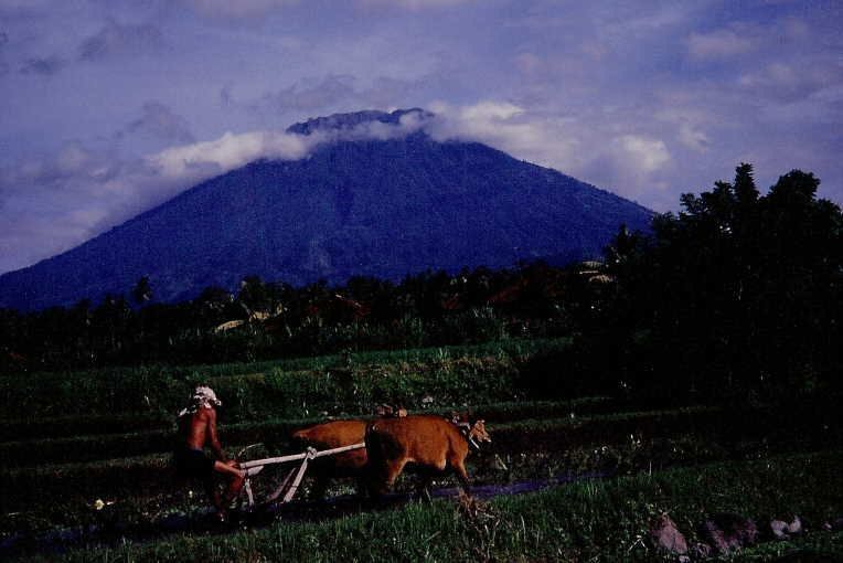 0176KM 77255 23APR03 Indonesien Tirta Gangga Bali.jpg